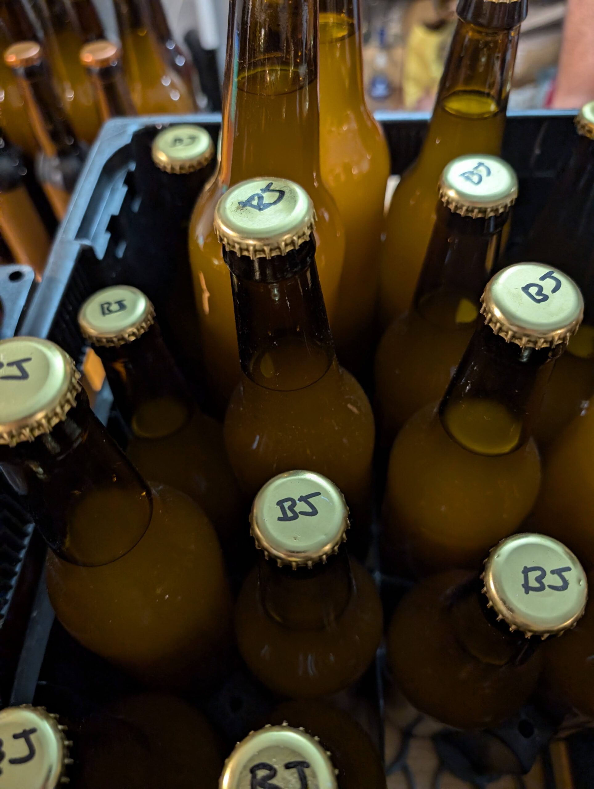 Brassin 28 – Bière des jumelles (NEIPA)