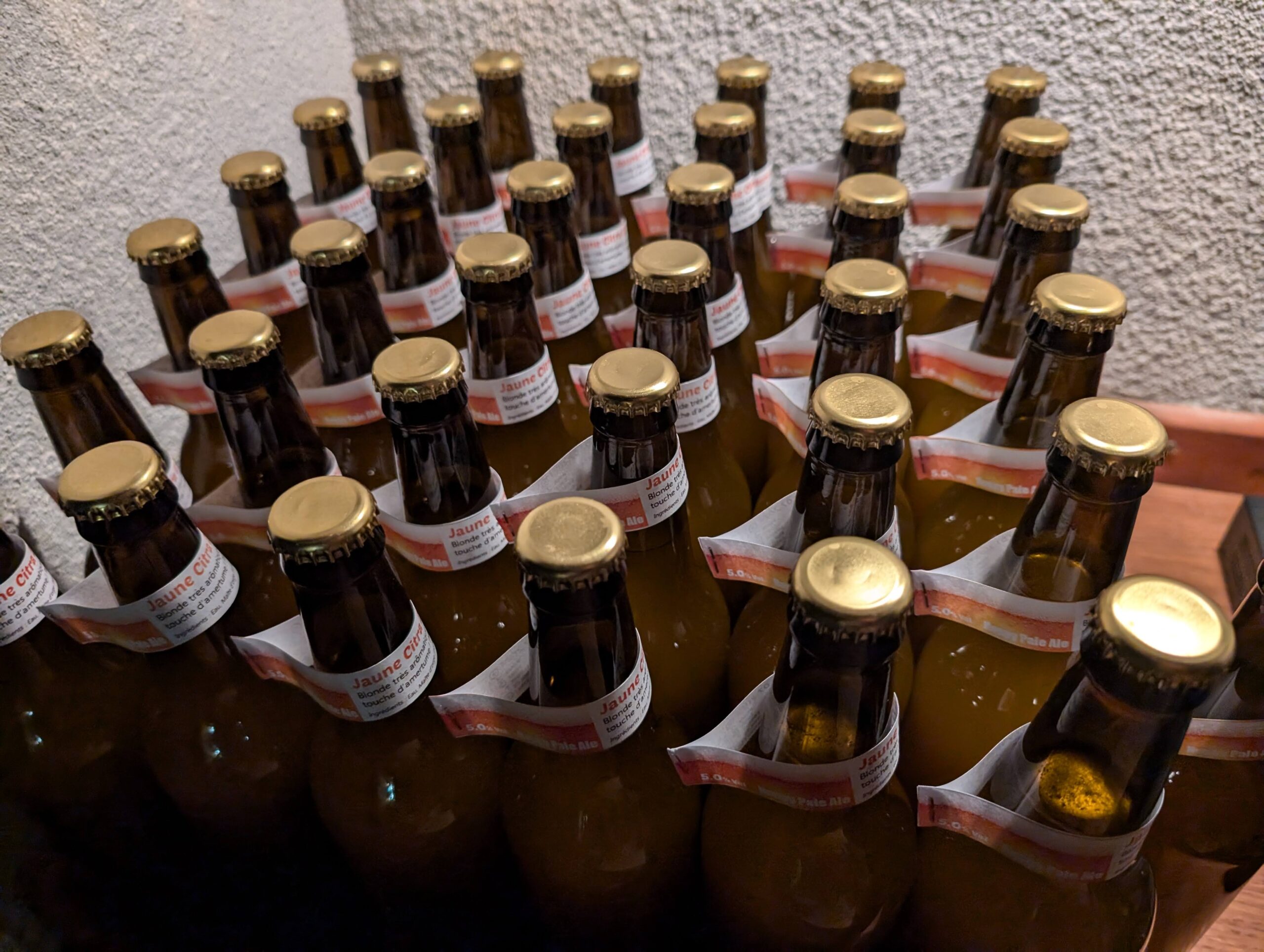 Brassin 30 – Jaune Citra 2.0